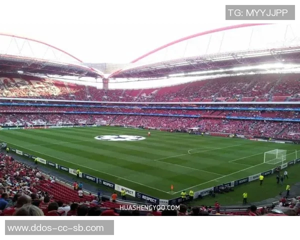 本菲卡光明球场的辉煌历史与未来展望:足球文化的传承与创新之路 本菲卡光明球场的辉煌历史与未来展望:足球文化的传承与创新之路