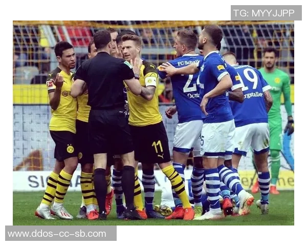 汉堡队迎接新赛季德甲阵容大调整，新秀崭露头角